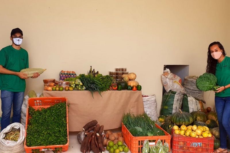 Por meio do PAA, Emater investiu R$ 1,8 milhão em 13 municípios do Médio Sertão