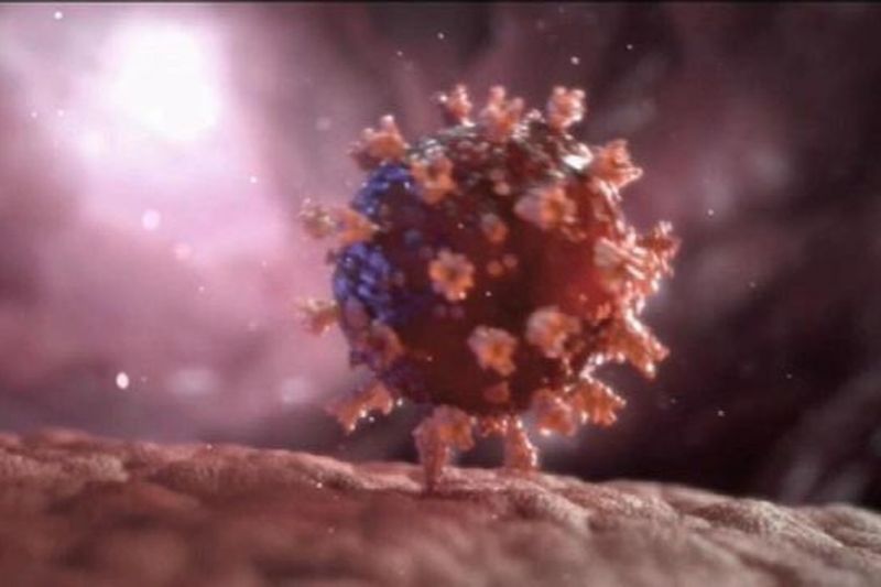 Variante delta avança, mas gama ainda é predominante no Brasil