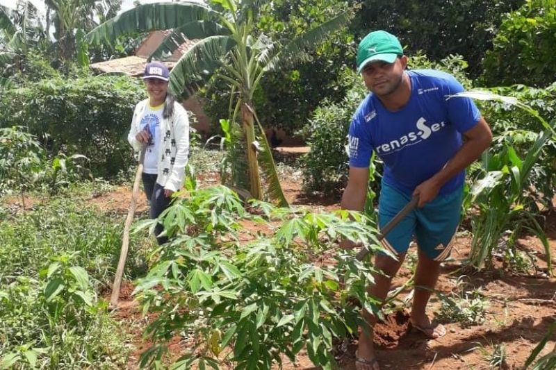 Emater investe R$ 2,4 milhões no Semiárido Alagoano através do Projeto Dom Helder Câmara