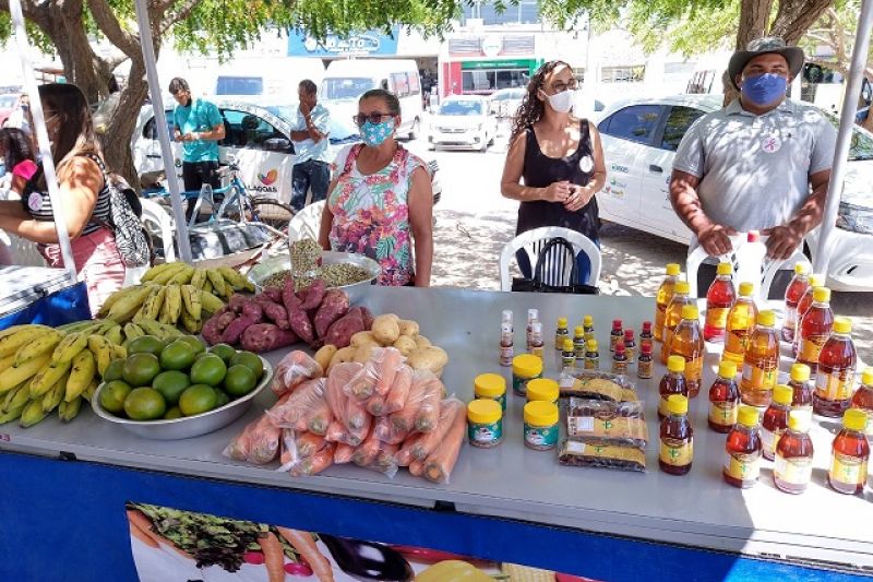 Em 5 anos do PAA, Emater investiu R$ 24,7 milhões na compra e doação de alimentos em AL