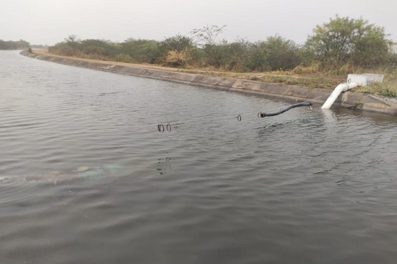 Furto de cabos elétricos prejudica abastecimento de Olho D’água do Casado