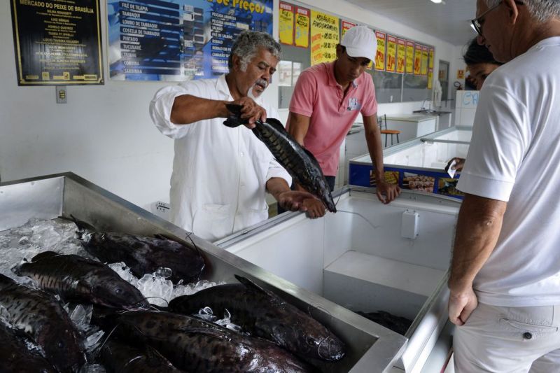 Doença “urina preta” pode estar relacionada a consumo de frutos do mar