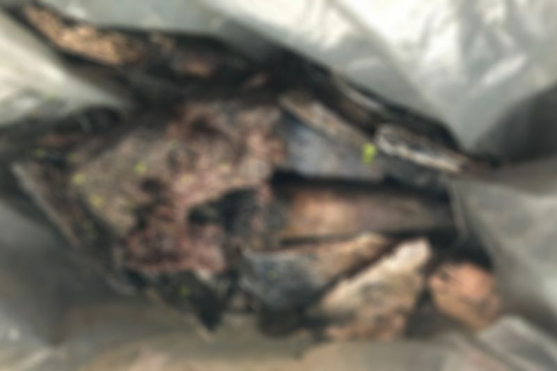 Restos mortais de agricultor morto pelo filho são encontrados em barreiro em Mata Grande