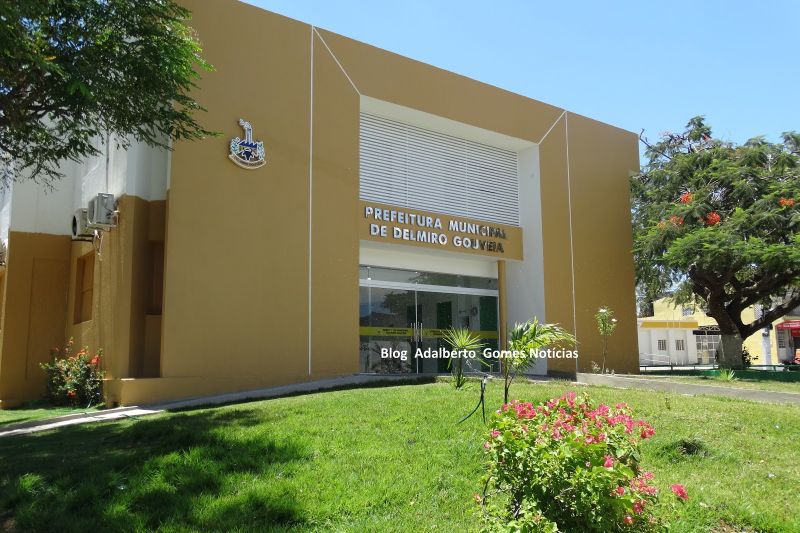 Prefeitura de Delmiro que contratar empresa especializada em poda de árvores