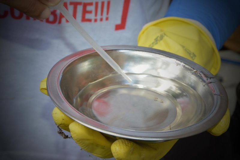 Casos de dengue quase triplicam em Alagoas e passam de 6 mil casos