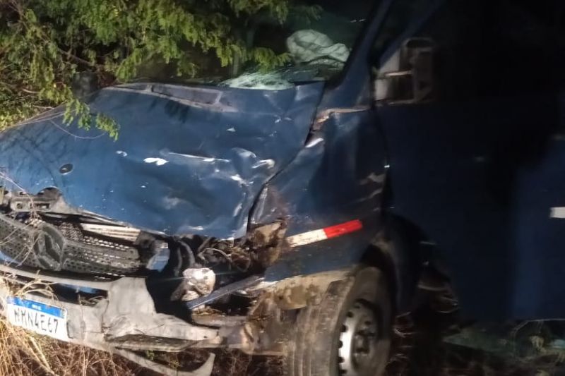 Van que transportava pacientes colide e mata cavalo solto na rodovia BR-316 em Canapi