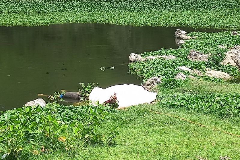 Homem que sofria de alcoolismo é encontrado morto boiando no Rio Ipanema em Batalha