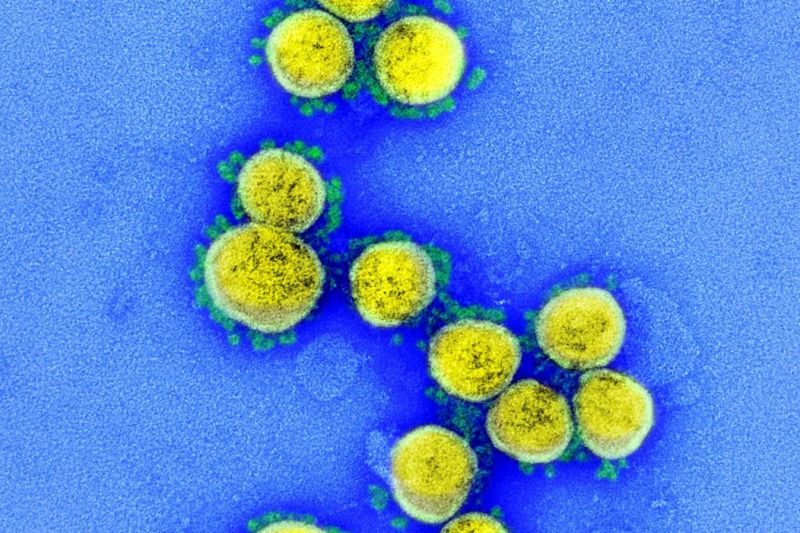 Brasil tem 35 casos confirmados da variante Ômicron