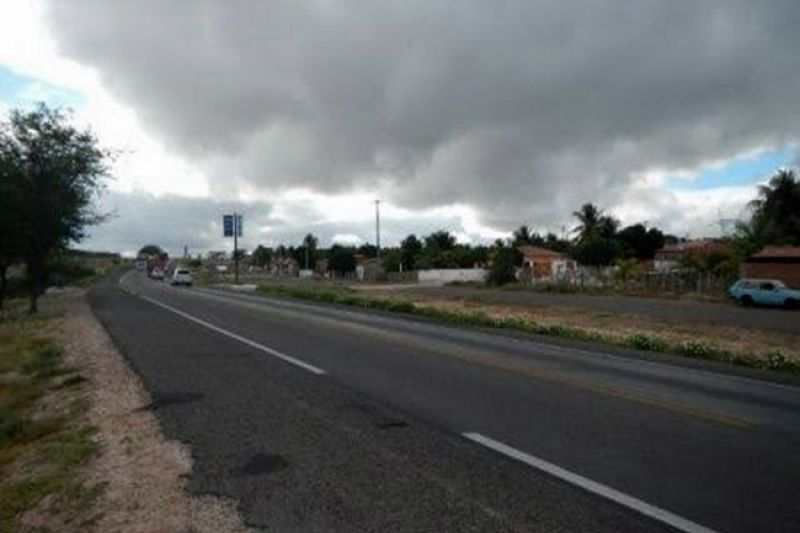 Animais soltos em estradas causam acidentes e morte em Delmiro Gouveia