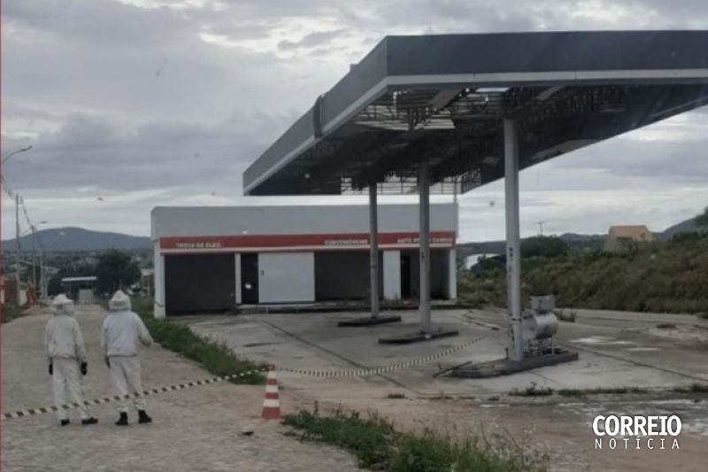Três pessoas ficam feridas após ataque de abelhas no município de Dois Riachos