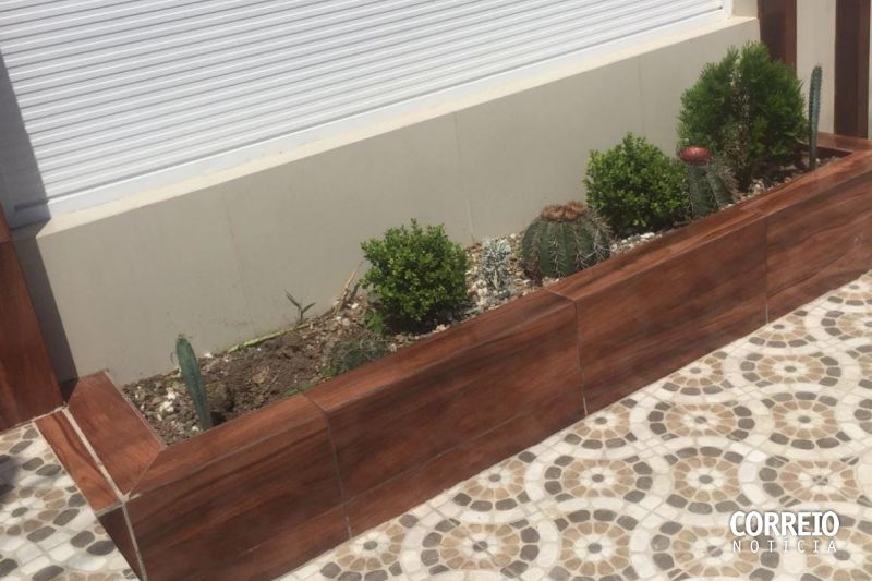 Plantas são furtadas de jardim em frente de residência em Delmiro Gouveia