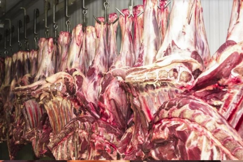 China suspende compra de carne bovina da JBS, Marfrig e Naturafrig por uma semana