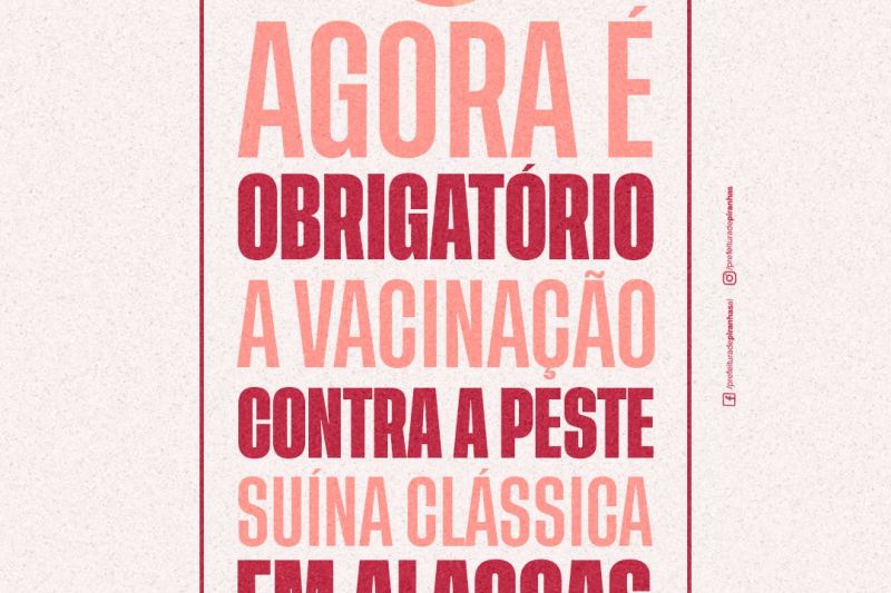 Peste Suína: Piranhas convoca produtores para a segunda etapa de vacinação