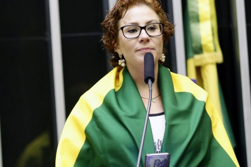 Bolsonaristas vão defender projeto na Câmara dos Deputados para perdoar mais aliados
