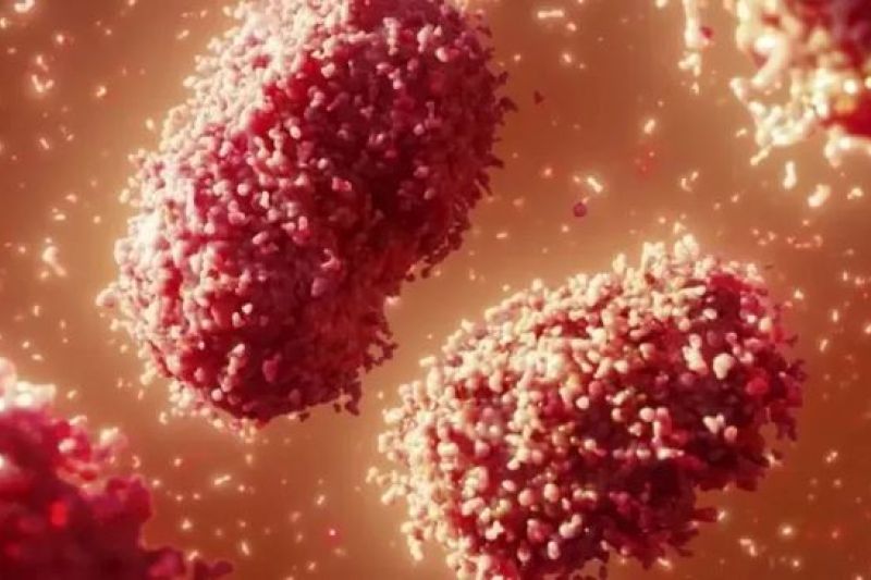 Varíola: Brasil articula com a OMS possível aquisição de vacinas, diz Ministério da Saúde