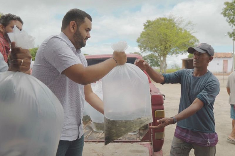 Prefeitura faz entrega de alevinos e incentiva piscicultura em Piranhas