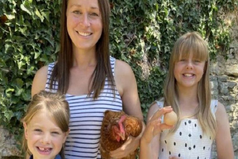 Galinha bota ovo ‘perfeitamente redondo’ e família põe à venda por mais de R$ 2 mil