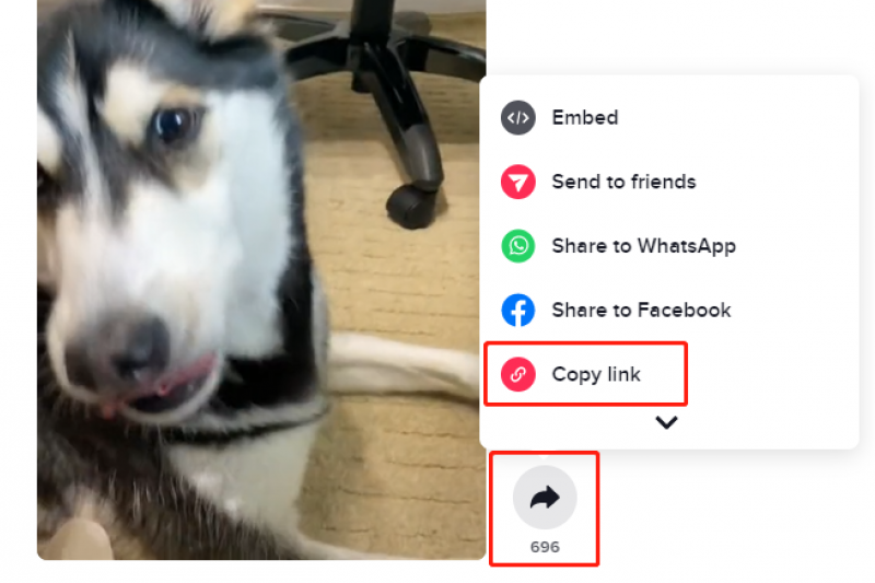 Um guia completo sobre como baixar vídeos do TikTok gratuitamente