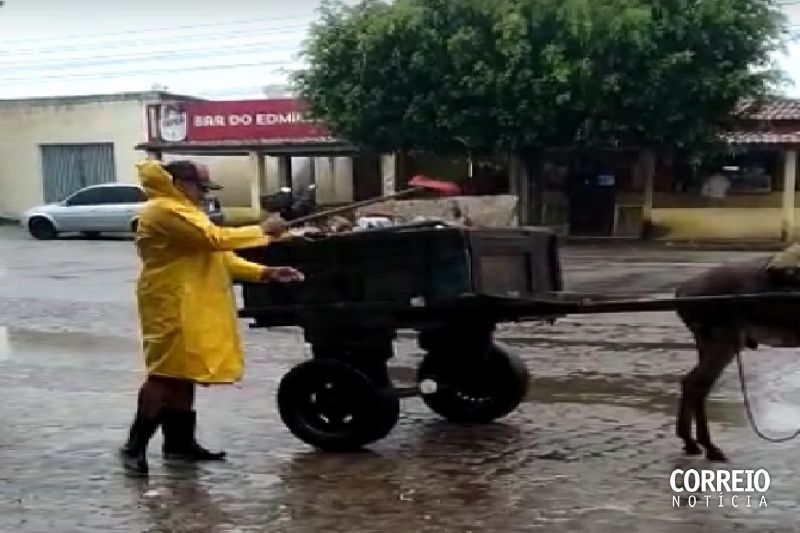 Prefeitura de São José da Tapera usa cavalos e jumentos para a coleta de lixo da cidade