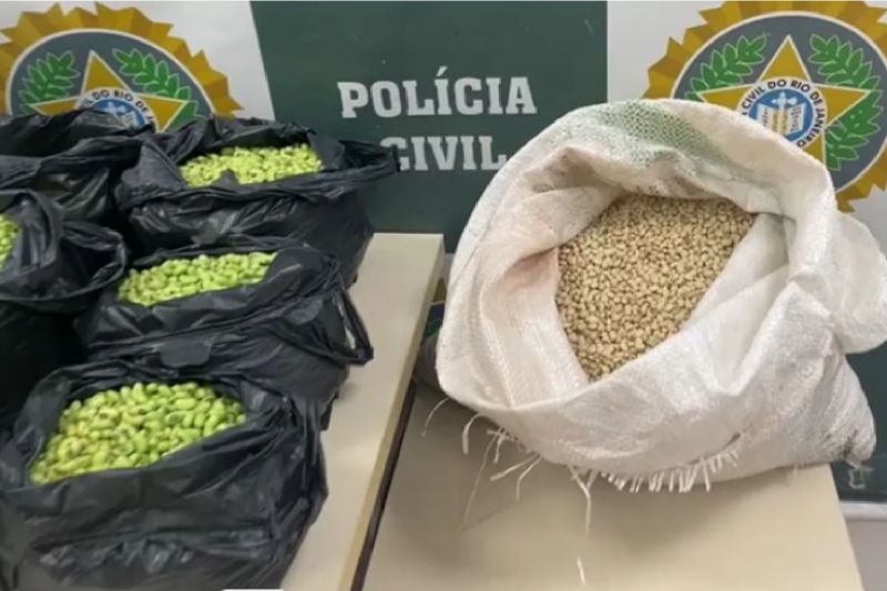 Homem é preso no Rio suspeito de pintar feijão de verde para vender mais caro