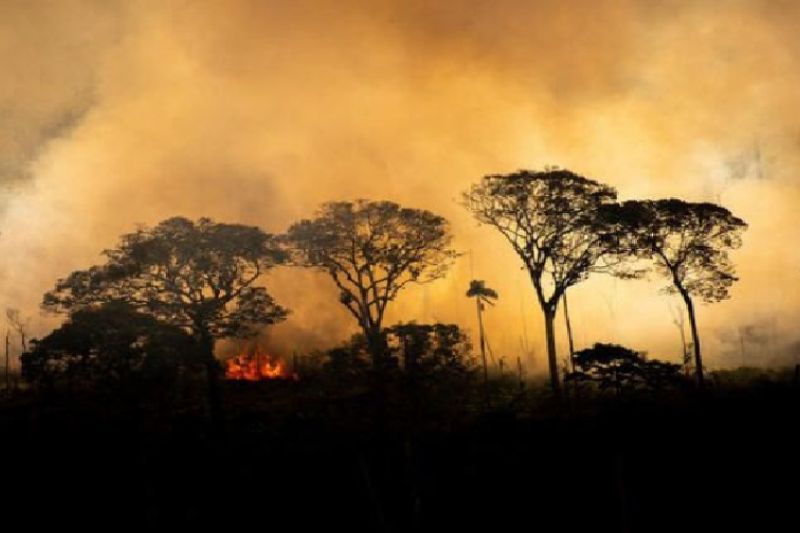 Amazônia do Equador teve mais de 623 mil hectares desmatados