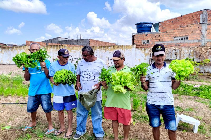 Piranhas investe em Horta terapêutica na reabilitação psicossocial de pacientes