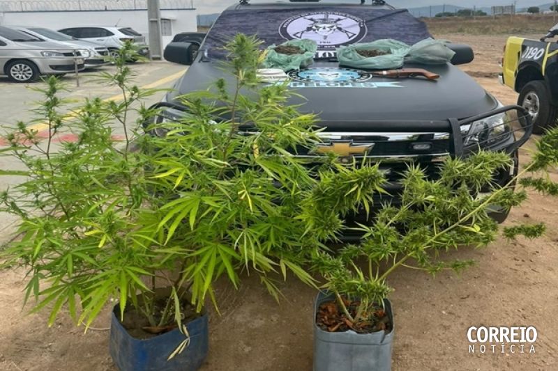 Homem é preso com arma e mais de 1kg de maconha na zona rural de Água Branca