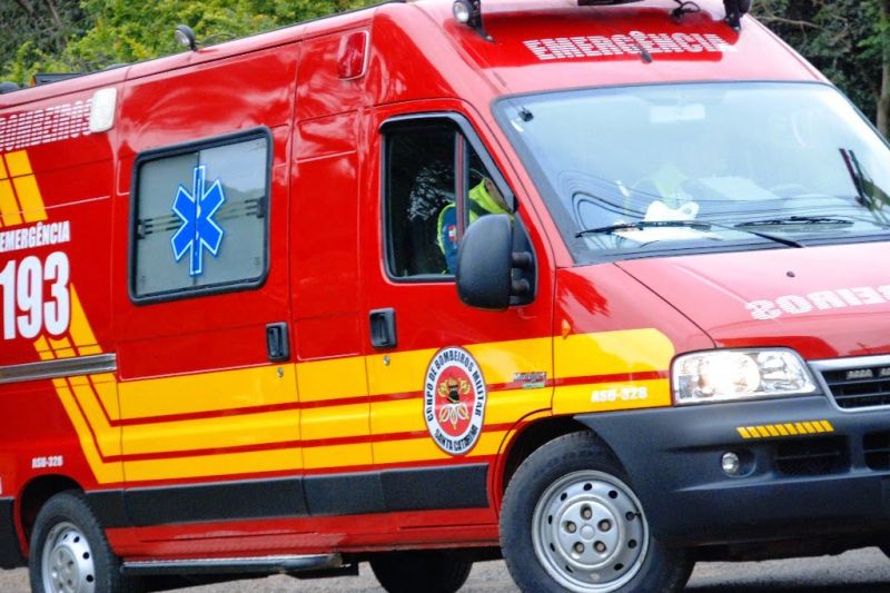 Bombeiros militares são acionados para conter insetos agressivos em Delmiro Gouveia