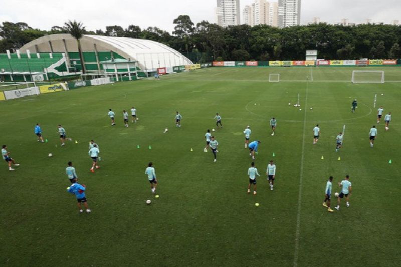 Palmeiras recebe Fortaleza para confirmar o título do Campeonato Brasileiro