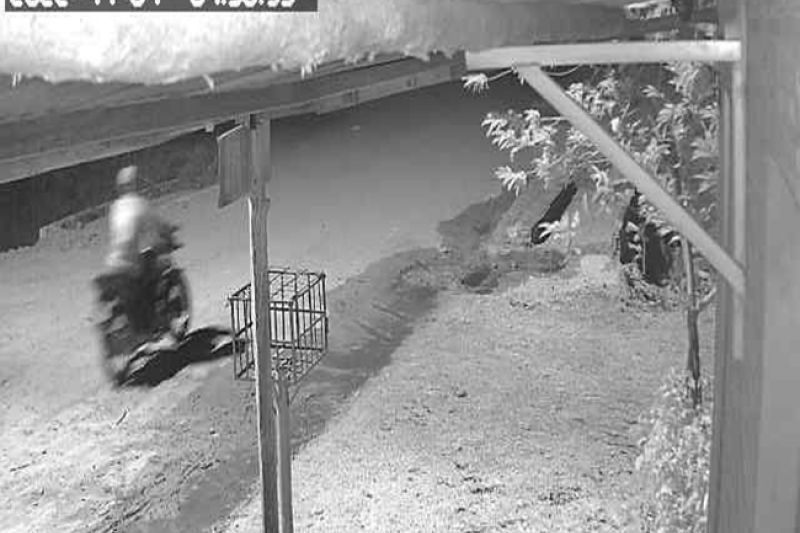 Câmera de monitoramento mostra homem que furtou moto em Delmiro Gouveia