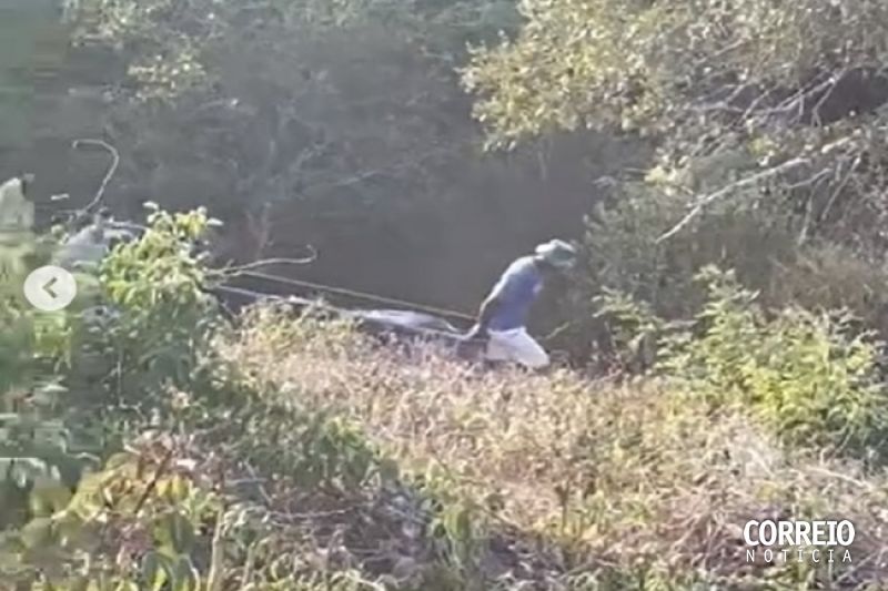 Corpo em avançado estado de decomposição é encontrado no município de Batalha