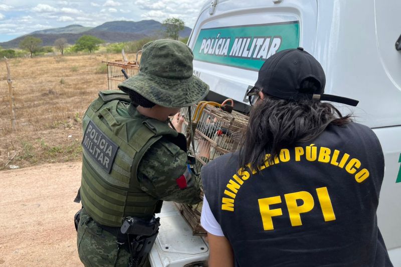 FPI resgata 48 animais em situação de cativeiro irregular em Água Branca e Delmiro Gouveia