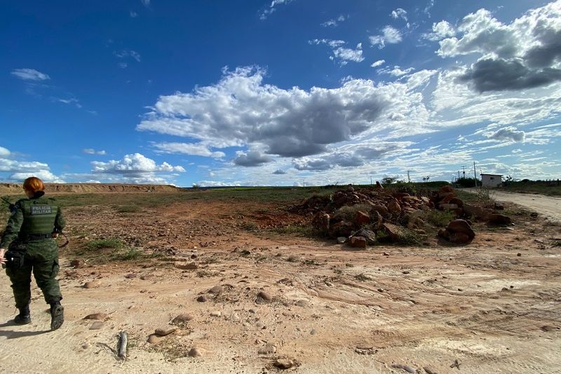 FPI constata desmatamento ilegal do bioma caatinga em Mata Grande