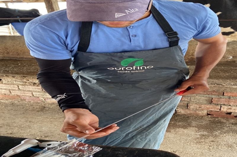 Produtores rurais comemoraram conclusão do primeiro ciclo de melhoramento genético bovino