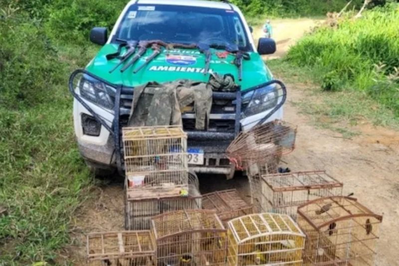 BPA realiza fiscalização ambiental na capital e no interior