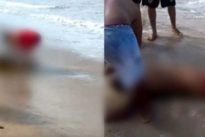 Em 16 dias, menina é a 3ª vítima atacada por tubarões em Pernambuco
