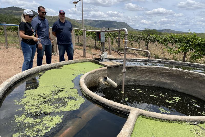 Seagri conhece programa de criação de peixe em recirculação de água