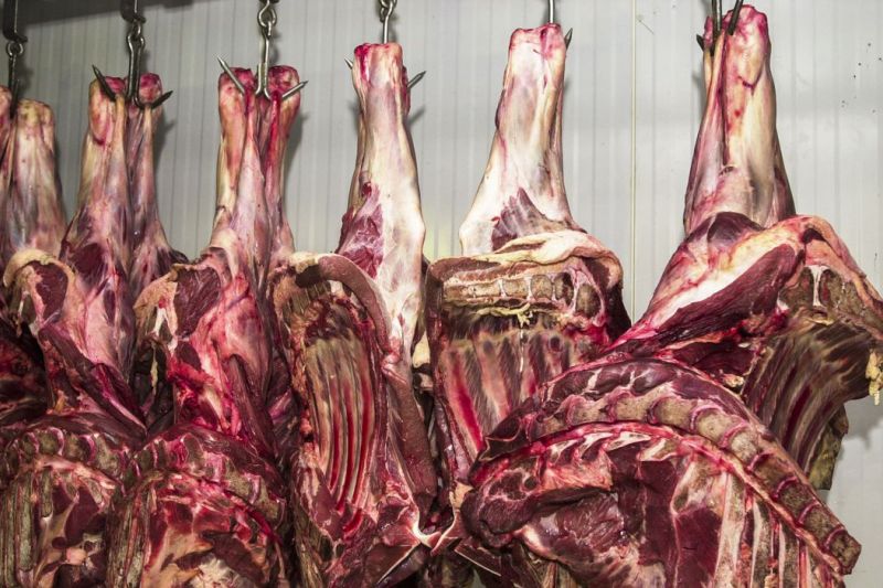 Abate de bovinos no Brasil volta a crescer após dois anos de queda