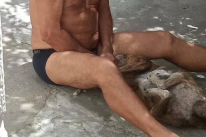 Esposa flagra marido estuprando cadela, tira foto e chama a polícia em Delmiro Gouveia