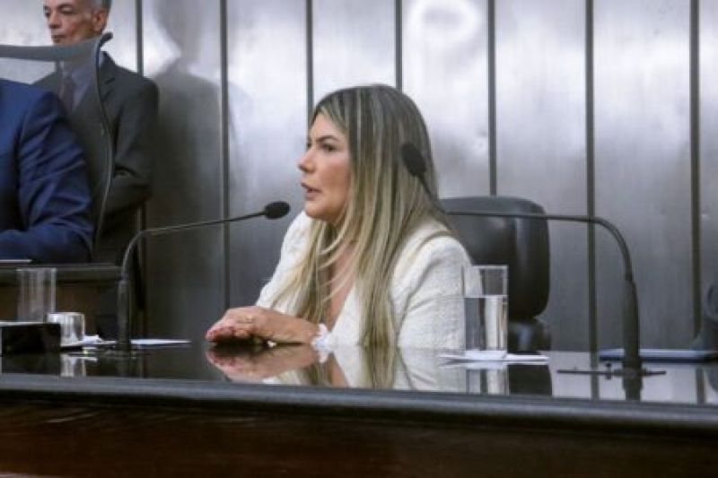 Vice-presidente Jeane Moura participa de audiência pública na ALE