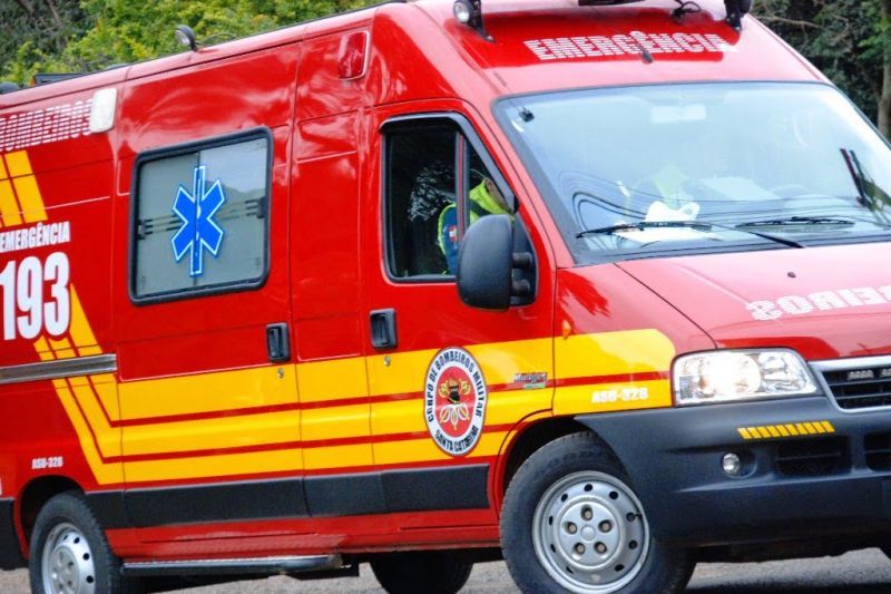 Abelhas invadem residência no centro da cidade de Delmiro Gouveia