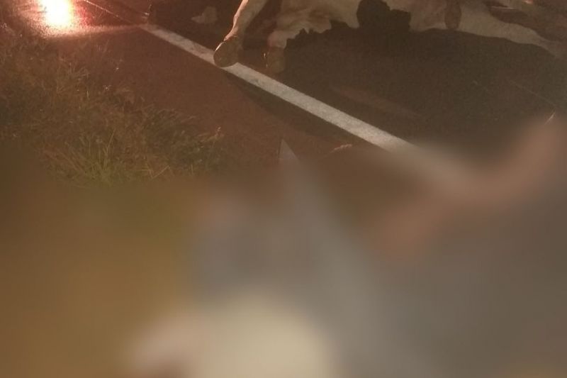 Motociclista morre após bater em animal solto na pista em Mata Grande