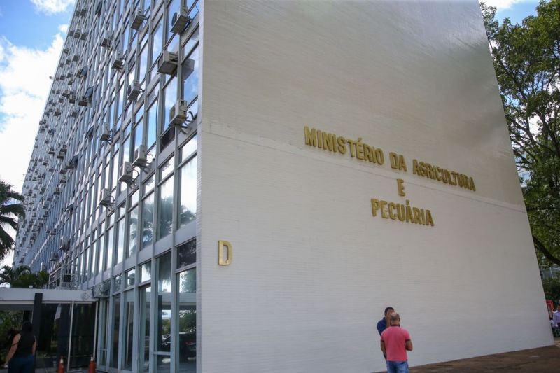 Minas Gerais registra primeiro caso de gripe aviária em pato