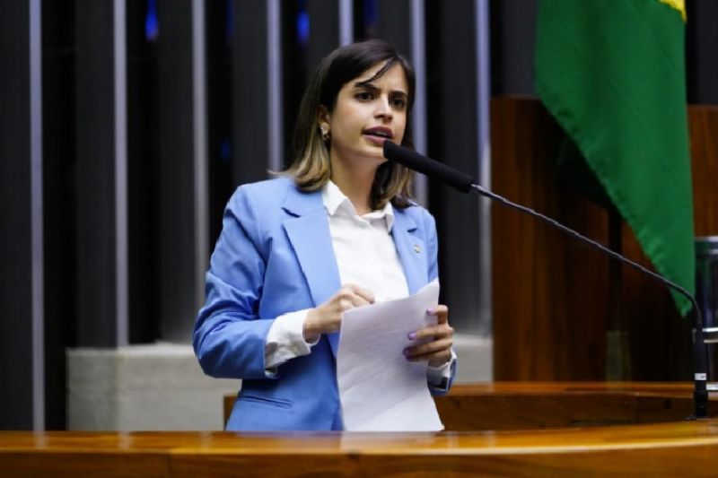 Derrotada na Câmara bancada da Educação quer tirar custos educacionais do Senado