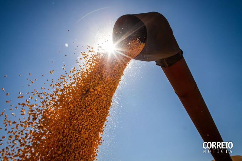 Conab estima produção de grãos em 315,8 milhões de toneladas