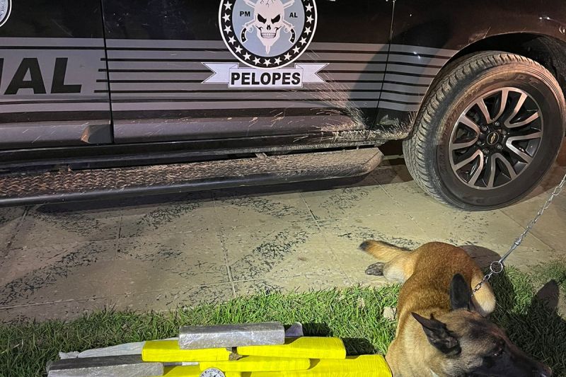 Duas pessoas foram presas suspeitas de comercializar drogas em Delmiro Gouveia