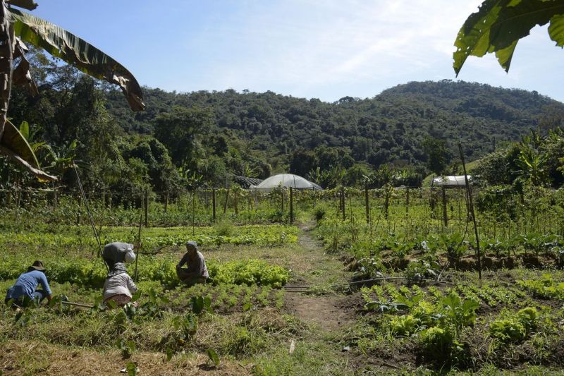 Lei institui política de empreendedorismo para jovens no campo