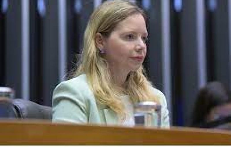 Minirreforma eleitoral não vai tratar de fake news por falta de consenso, diz deputada