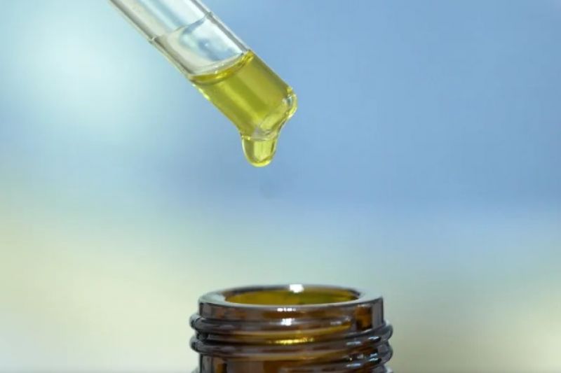 Datafolha: maioria é contra uso recreativo da maconha e a favor do medicinal