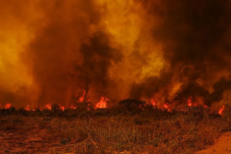 Aumento da temperatura desencadeia onda de incêndios em municípios do Sertão de Alagoas